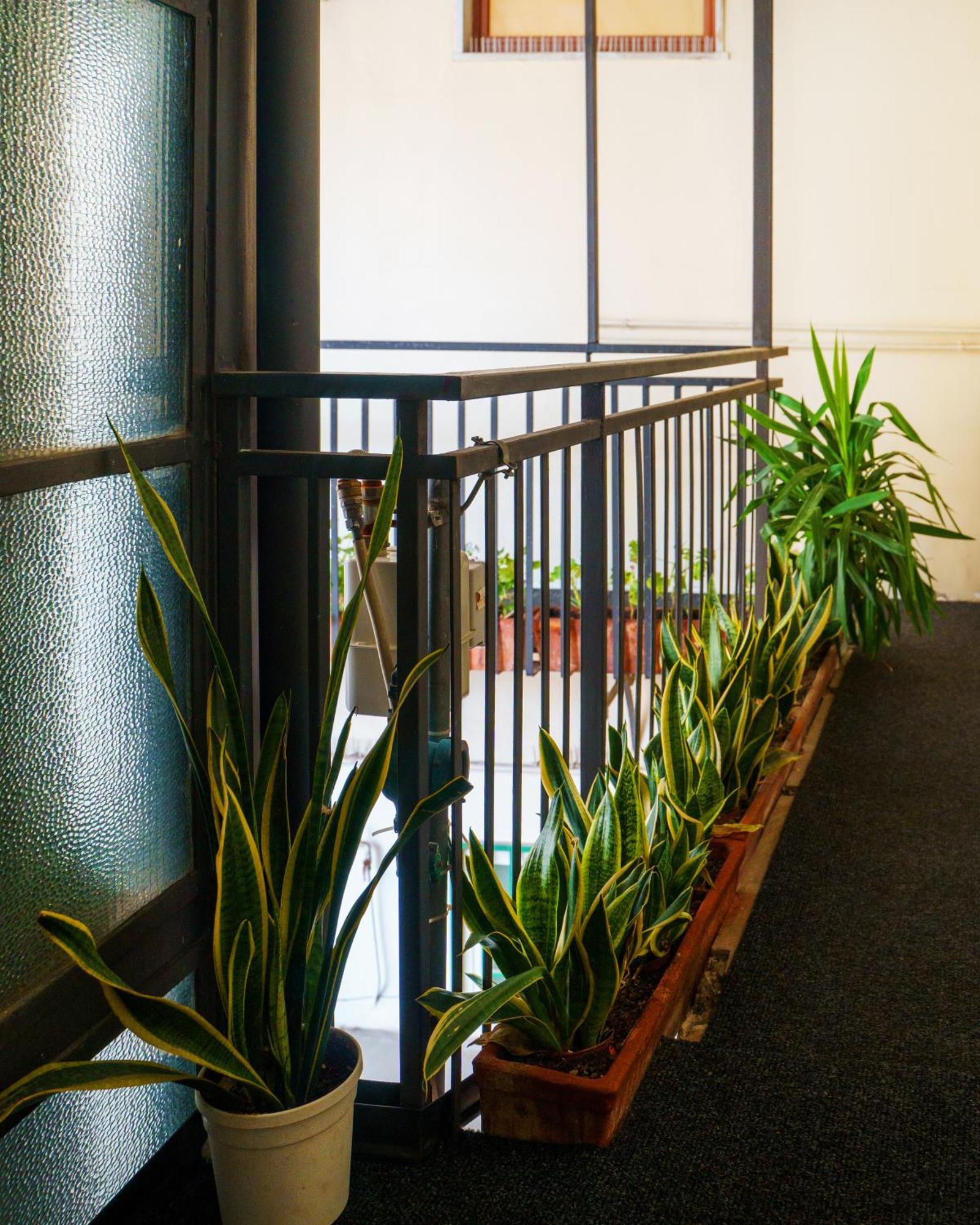 Chiatamone Relais Apartment Napoli Bagian luar foto